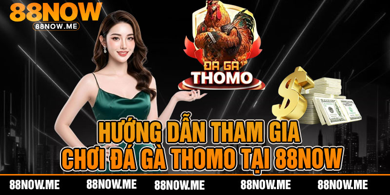 Hướng dẫn tham gia chơi đá gà thomo tại 88now