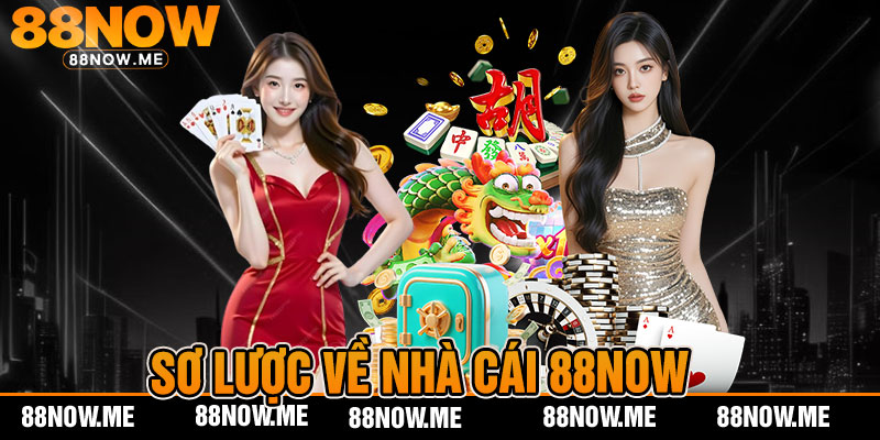 Sơ lược về nhà cái 88NOW 