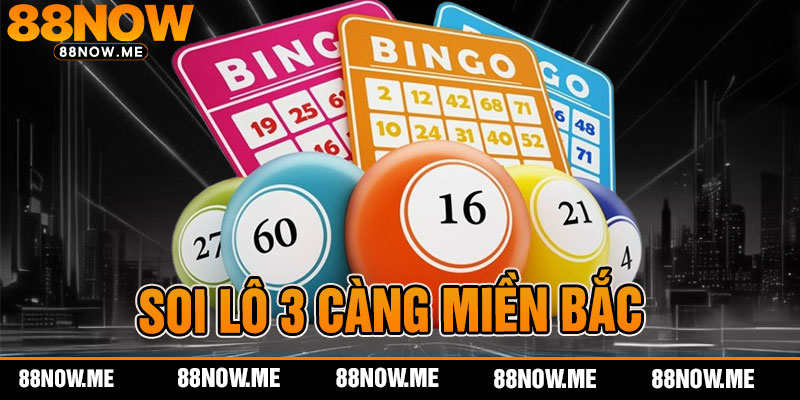 Soi Lô 3 Càng Miền Bắc